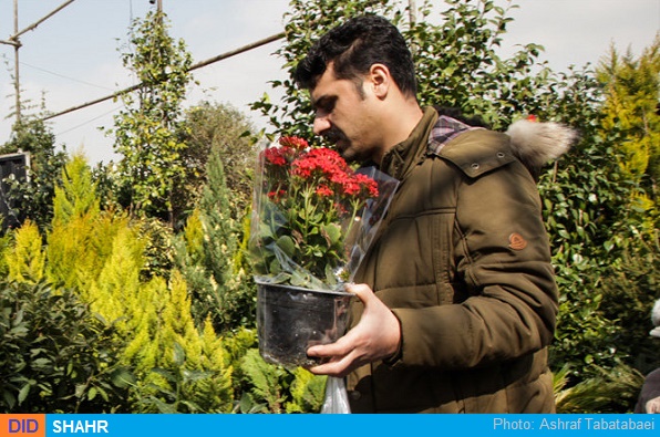 گلفروشی