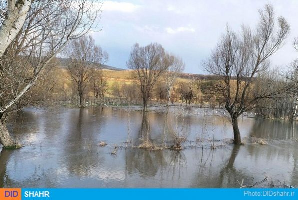بالیقلو چای