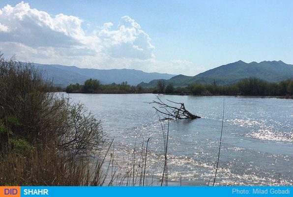 آرازچایی