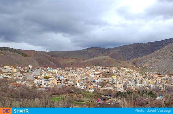 کیوی
