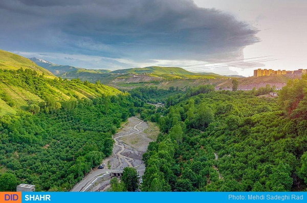 خیاو چایی