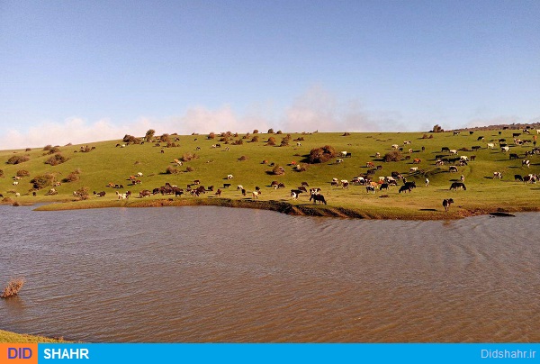 روستای دگر ماندرق نمین