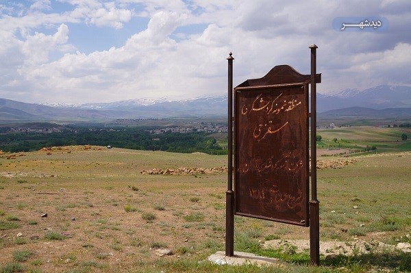 سقزچی